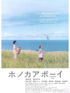 夏威夷少年海报