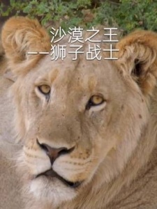 沙漠之王
