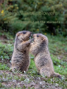 高山告密者——土拨鼠的游乐场